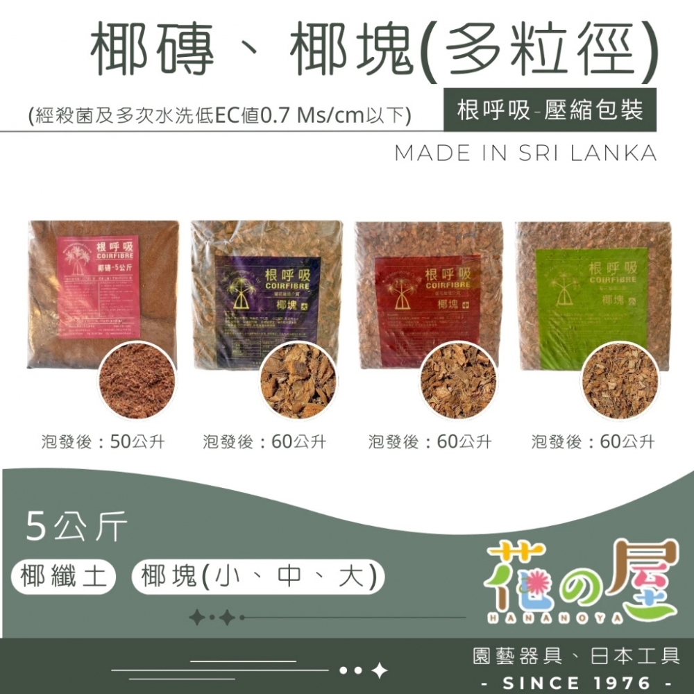 根呼吸椰塊‧椰磚系列