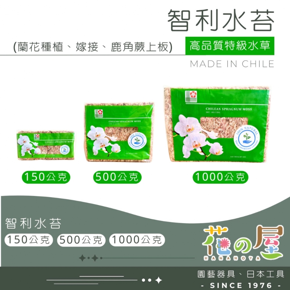 智利水苔(水草)原裝