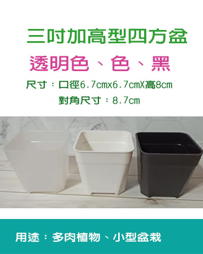 加高透氣四方盆「3吋