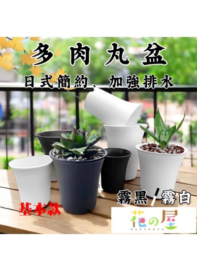多肉丸盆(基本款)2