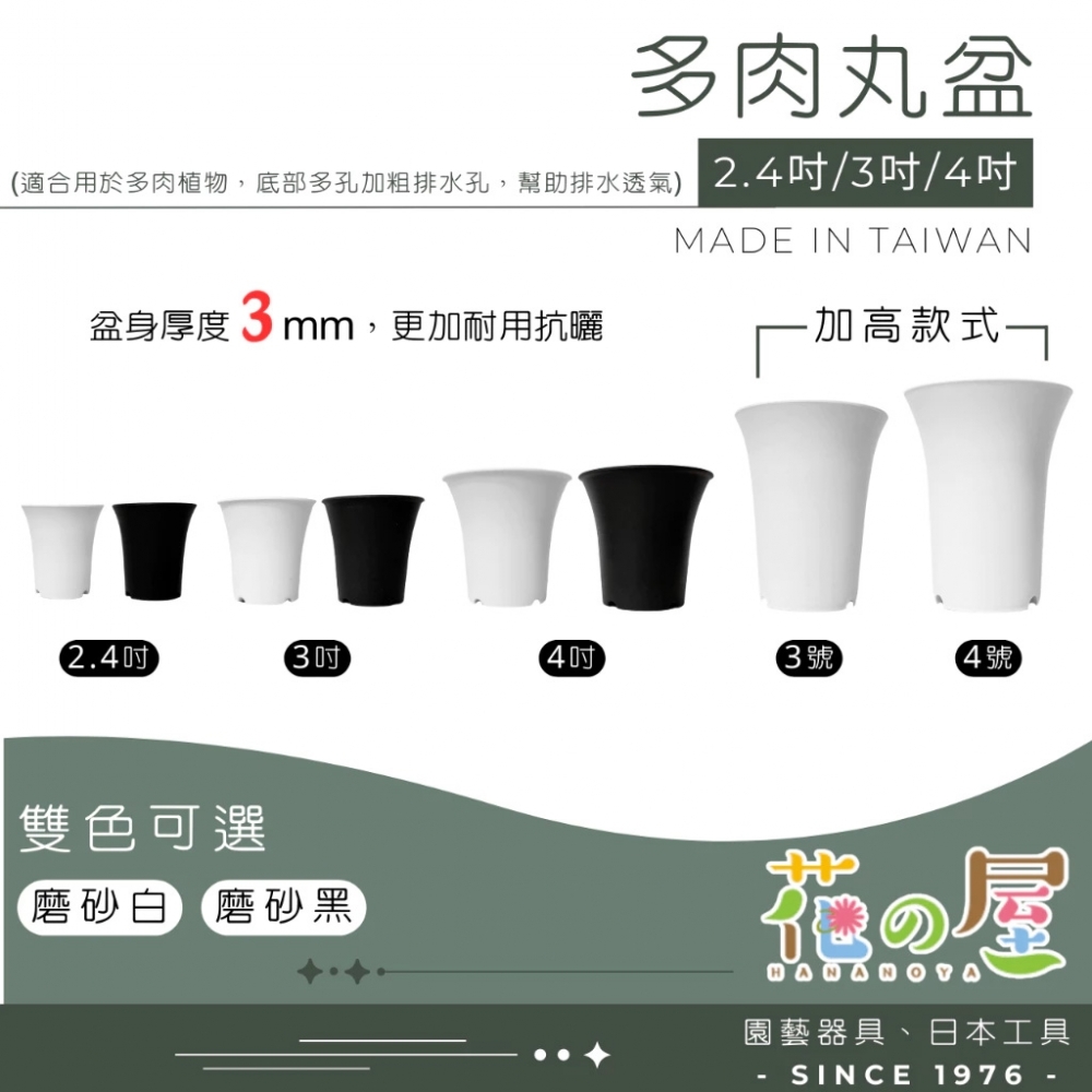 多肉丸盆 (2.4吋