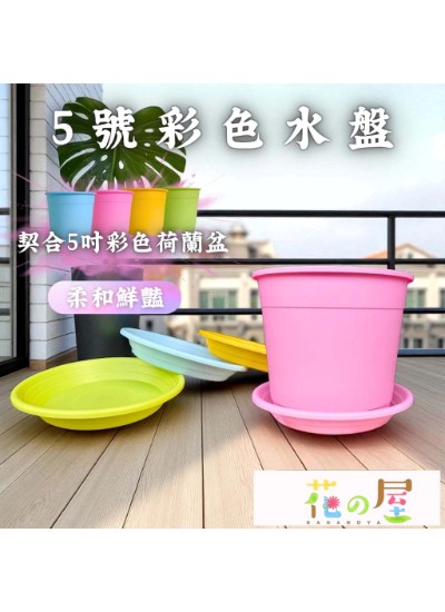5號彩色水盤（適用5