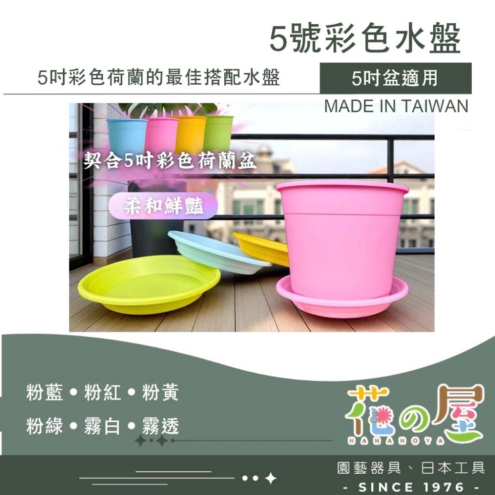 5號彩色水盤（適用5