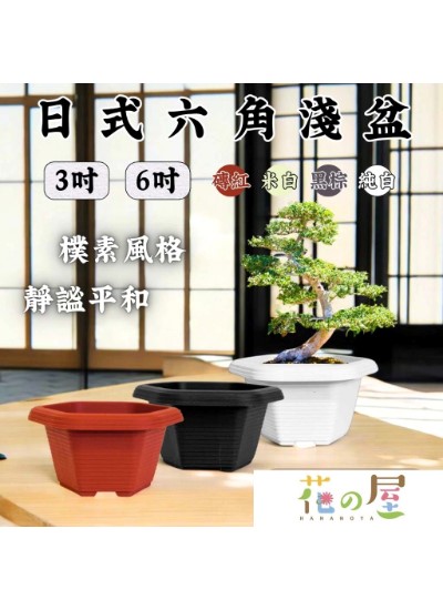 日式六角淺盆(3、6