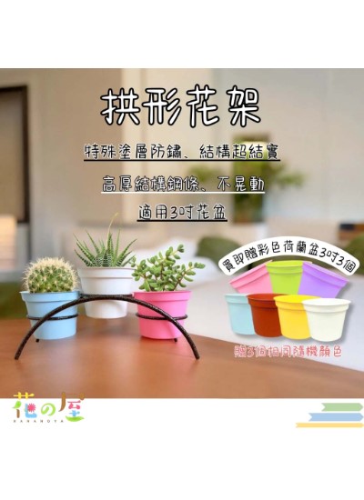 拱型花架 室內花架 