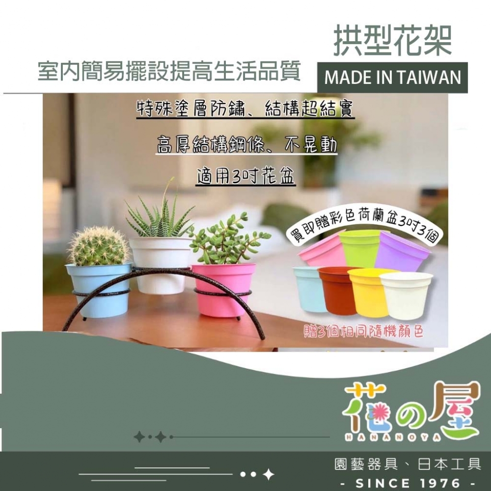 拱型花架 室內花架 