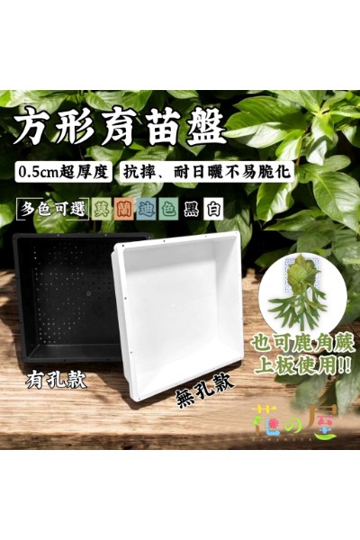 方型育苗盤(有孔、無