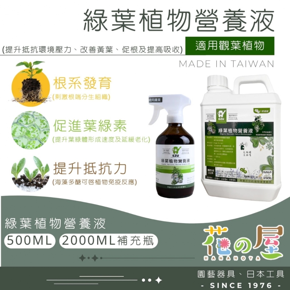 綠葉植物營養液（50