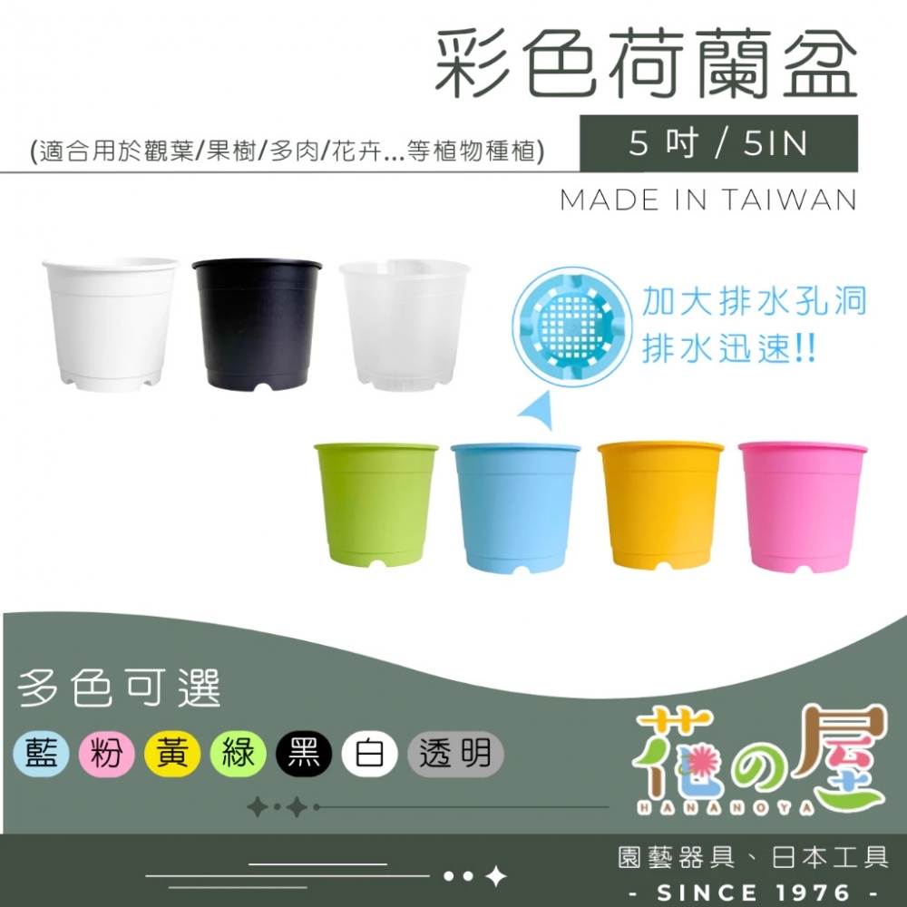  5吋 彩色荷蘭盆 