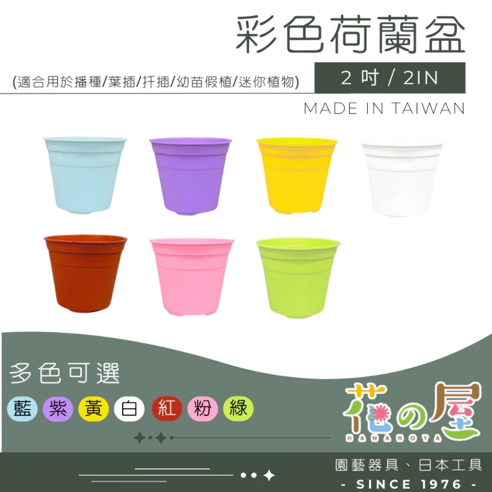 2吋彩色荷蘭盆 馬卡