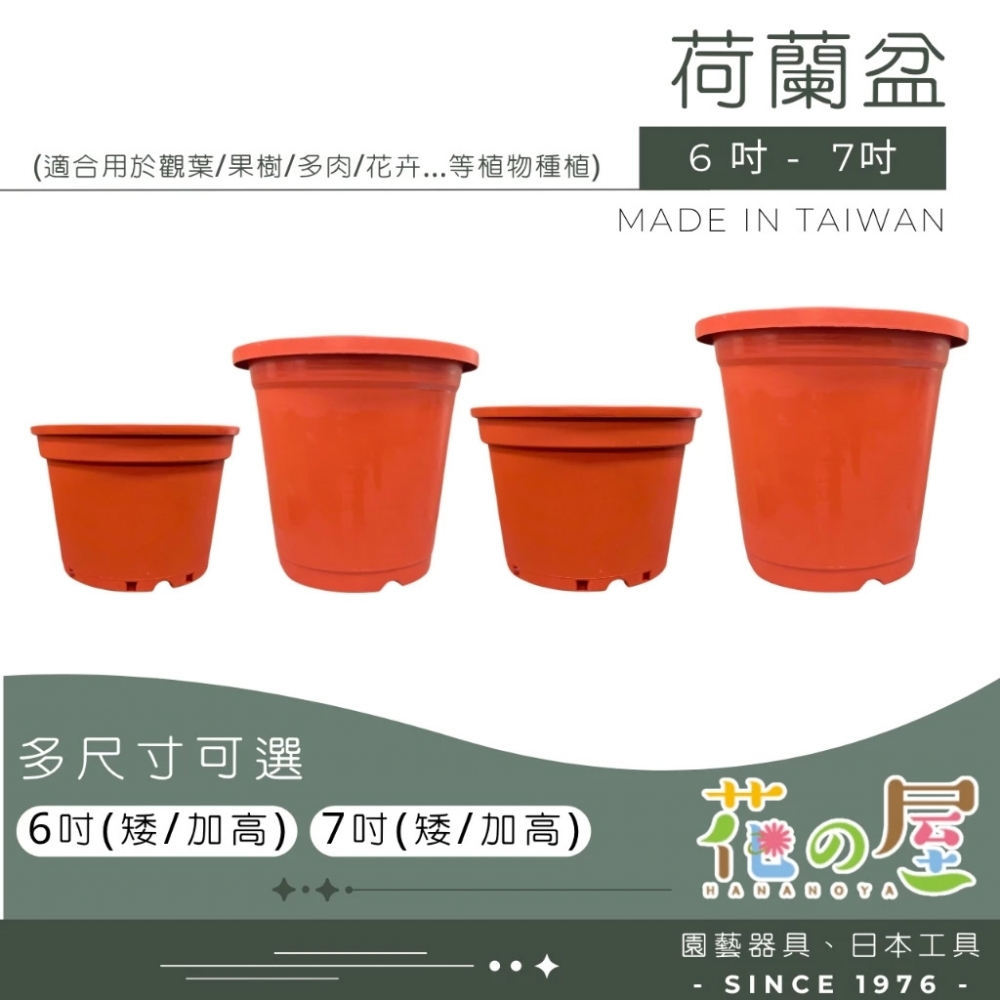 荷蘭盆（6吋/7吋基