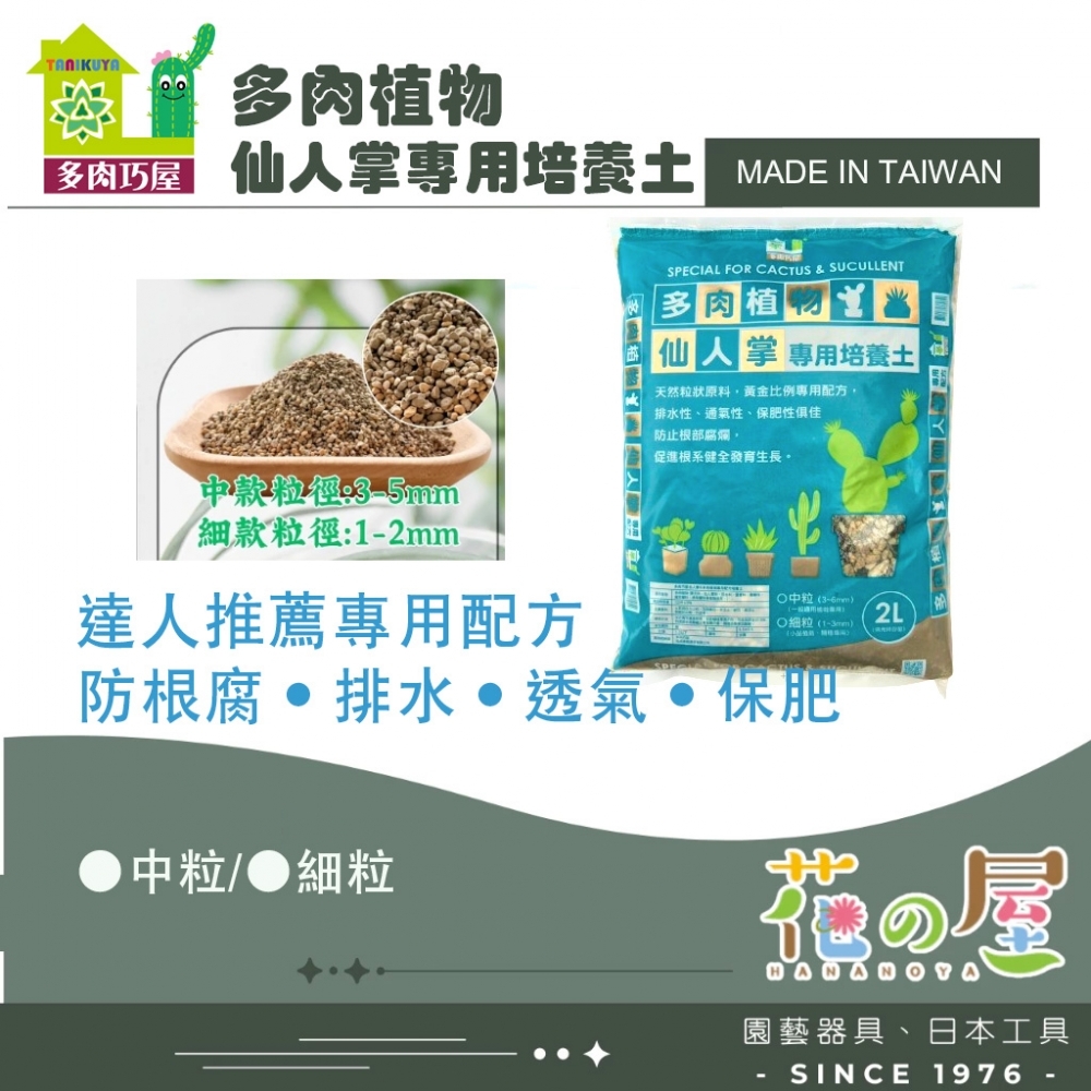 多肉巧屋-多肉植物專